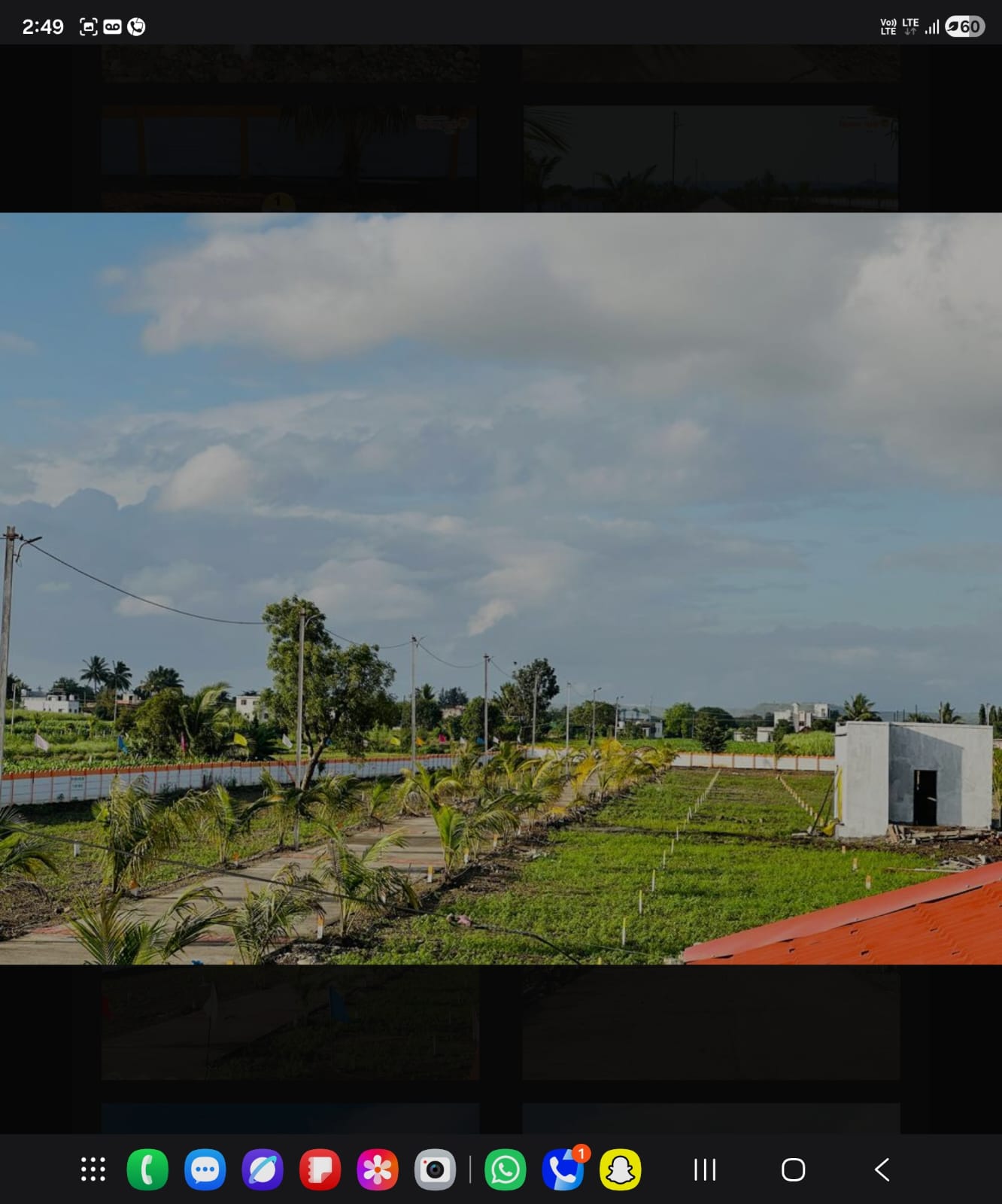 Lush green plots with planted avenue