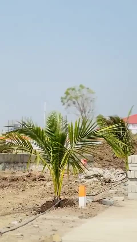 Layout, Amenities & Play Park