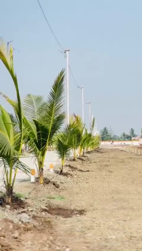 Internal Roads & Compound